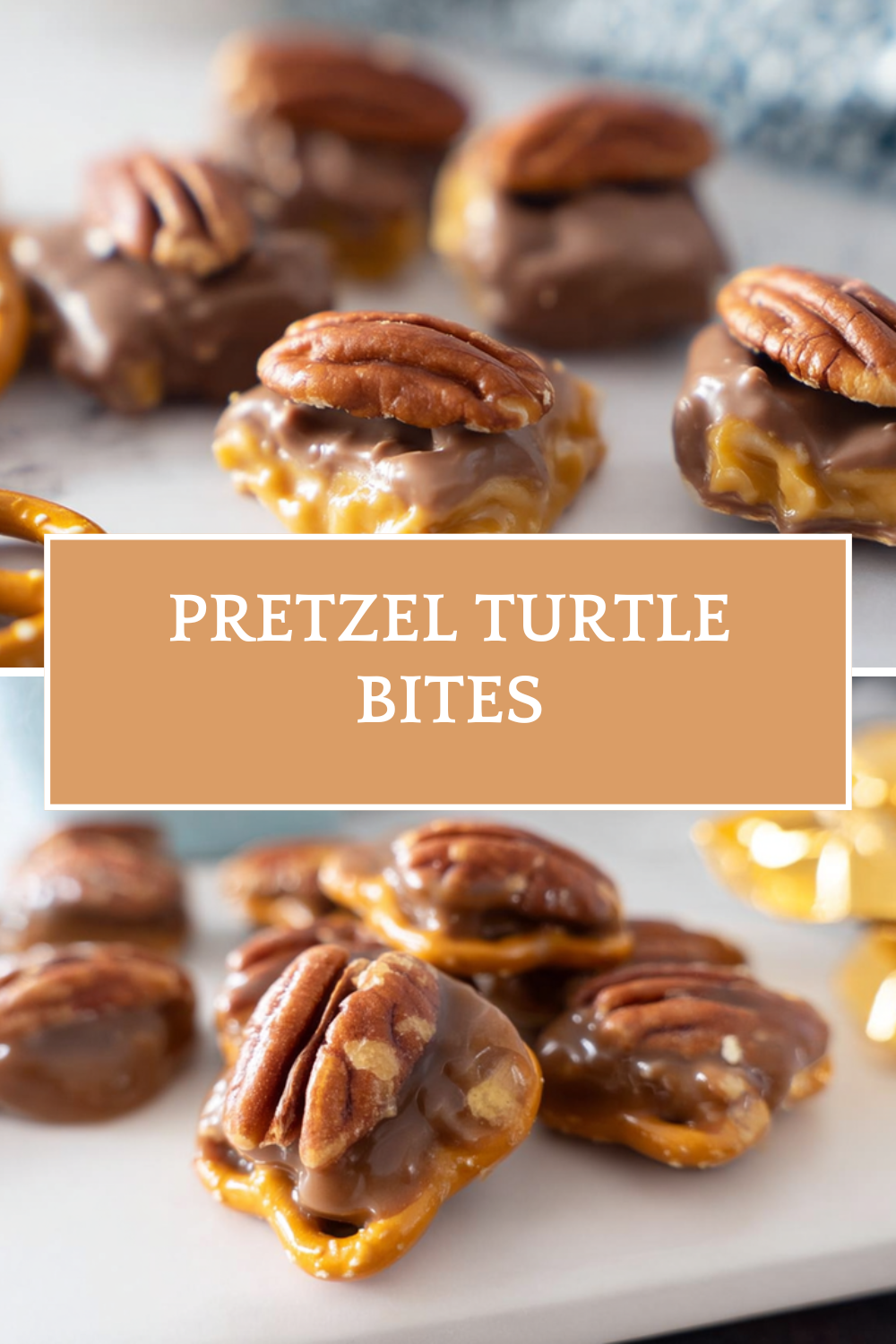 Pretzel Turtle Bites