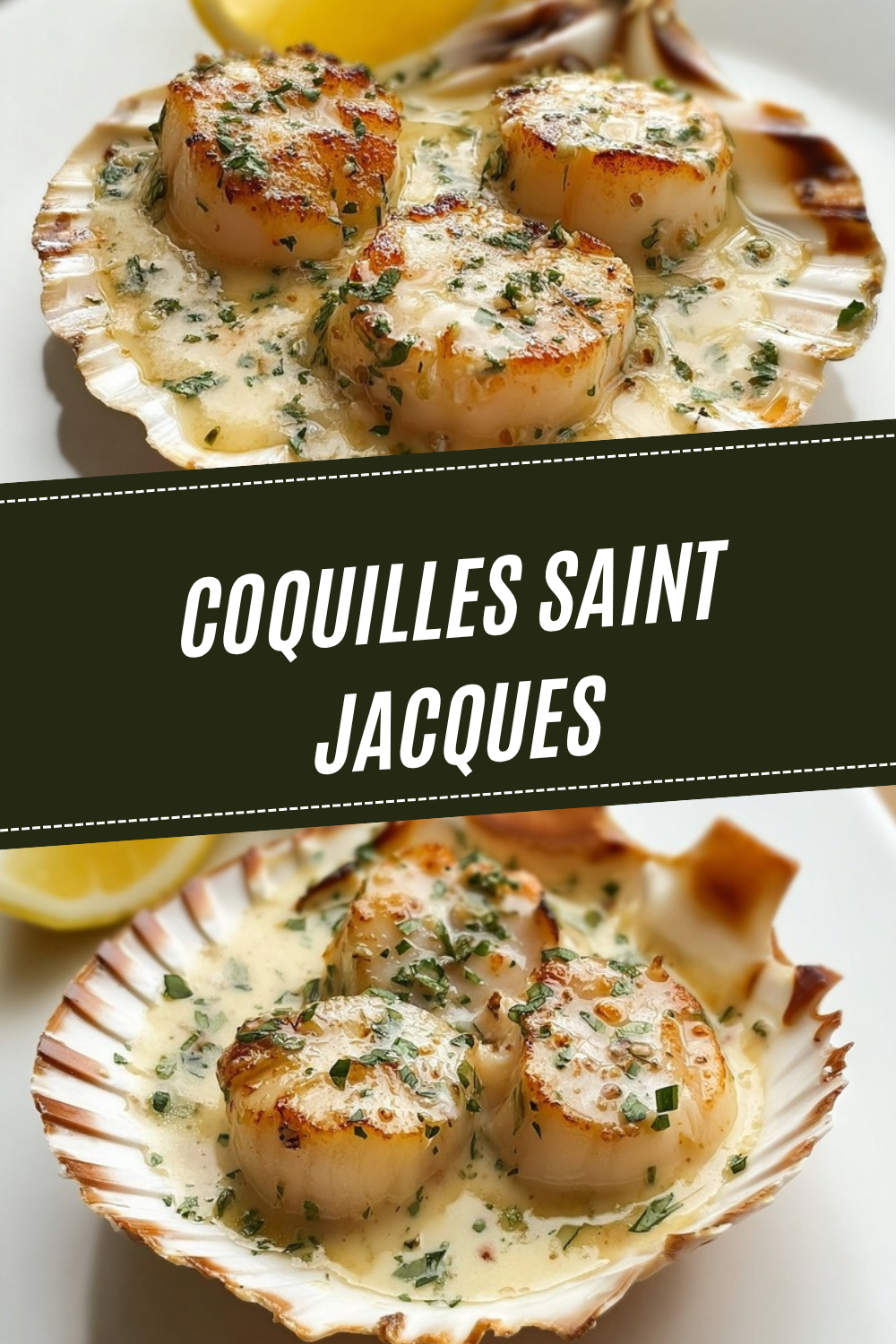 Coquilles Saint Jacques