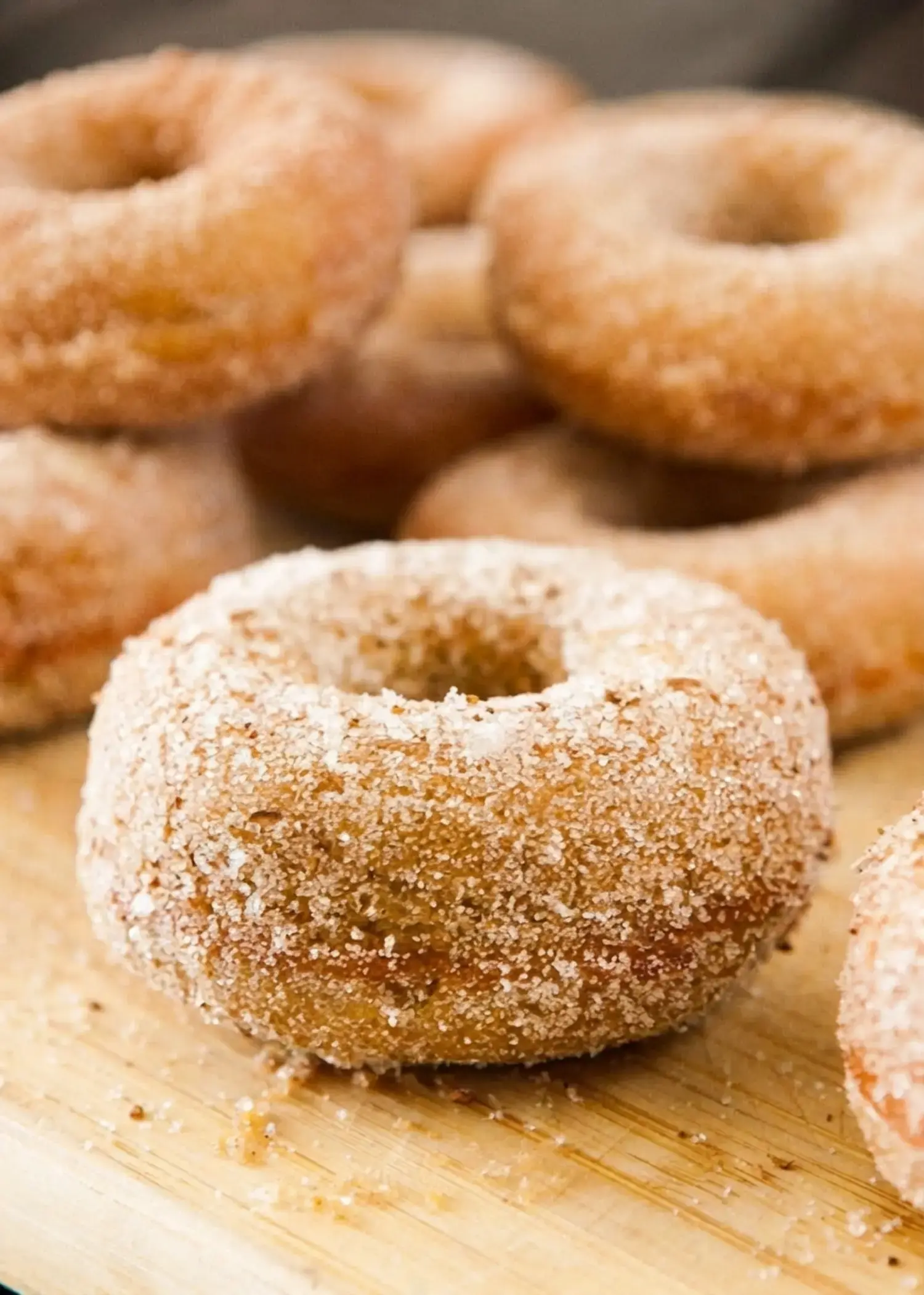 Baked Pumpkin Donuts: Easy Cinnamon Sugar Recipe for Fall 11 Baked Pumpkin Donuts
