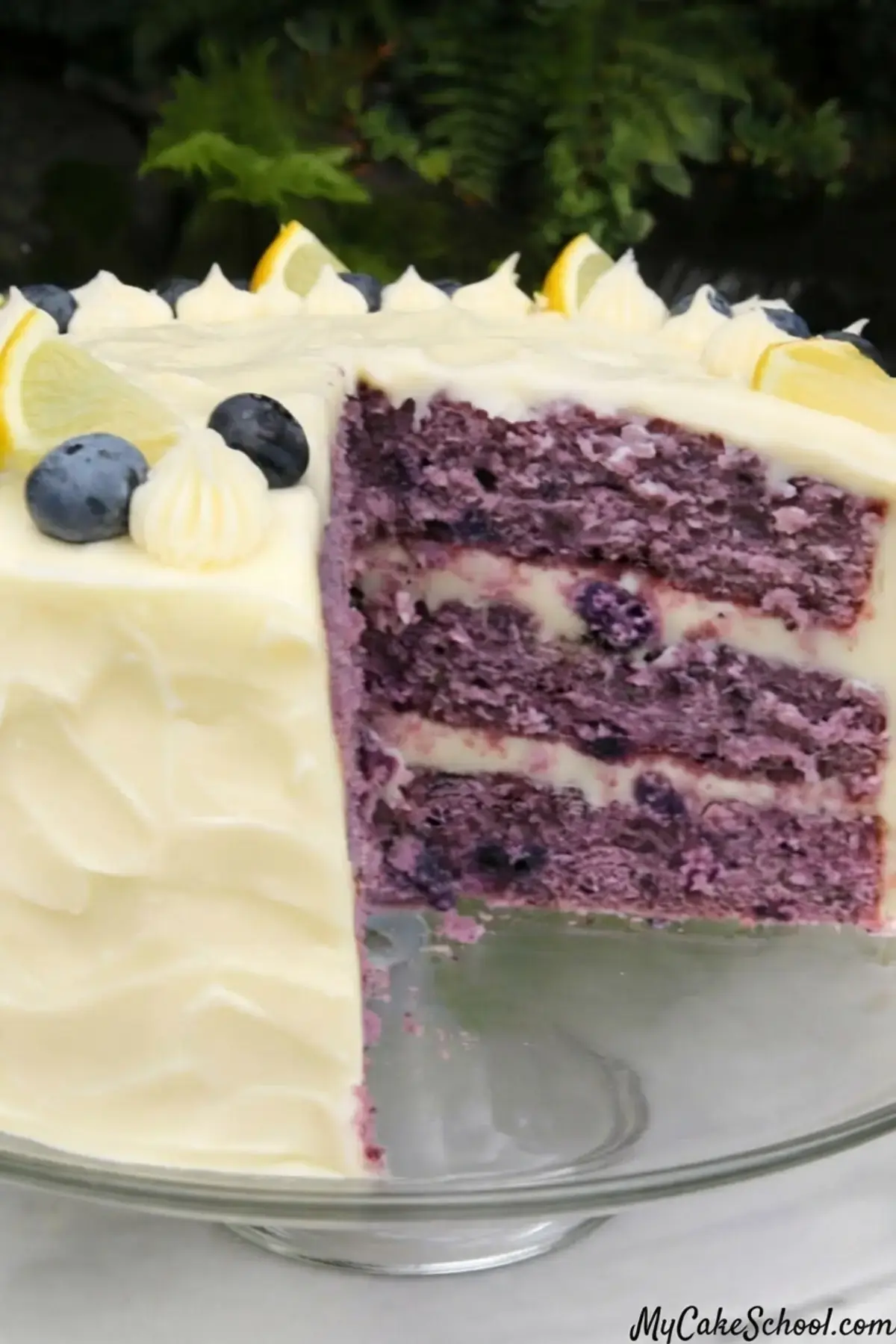 Blueberry Cake With Lemon Cream Cheese Frosting