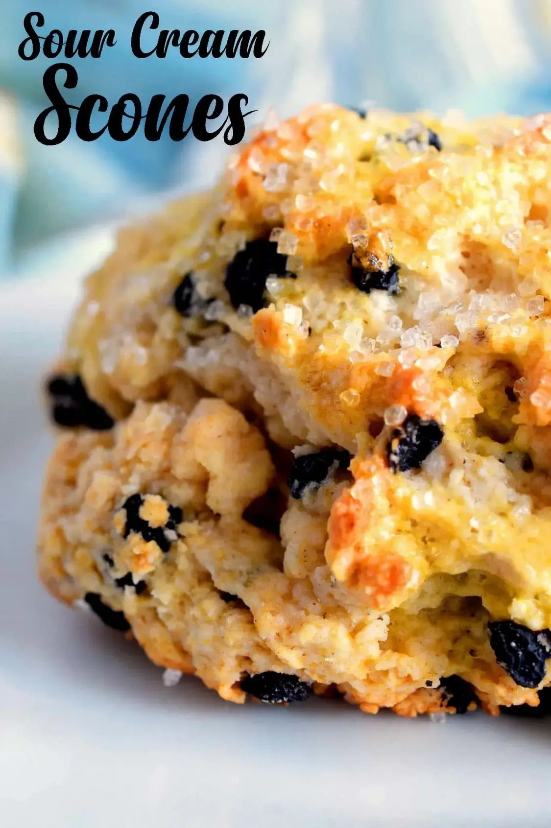 Sour Cream Scones: Tender Fluffy Scones for Easy Brunches 11 Sour Cream Scones, What else can I add (1 of 2)